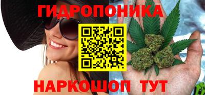 альфа пвп Заводоуковск