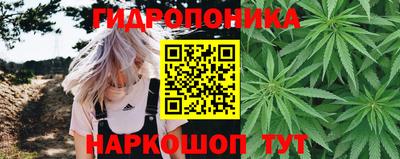 альфа пвп Заводоуковск