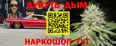 альфа пвп Заводоуковск