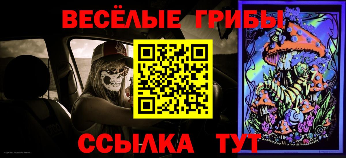 Заинск  Псилоцибиновые грибы мицелий  Вход с VPN  Галлюциногенные грибы мухоморы 